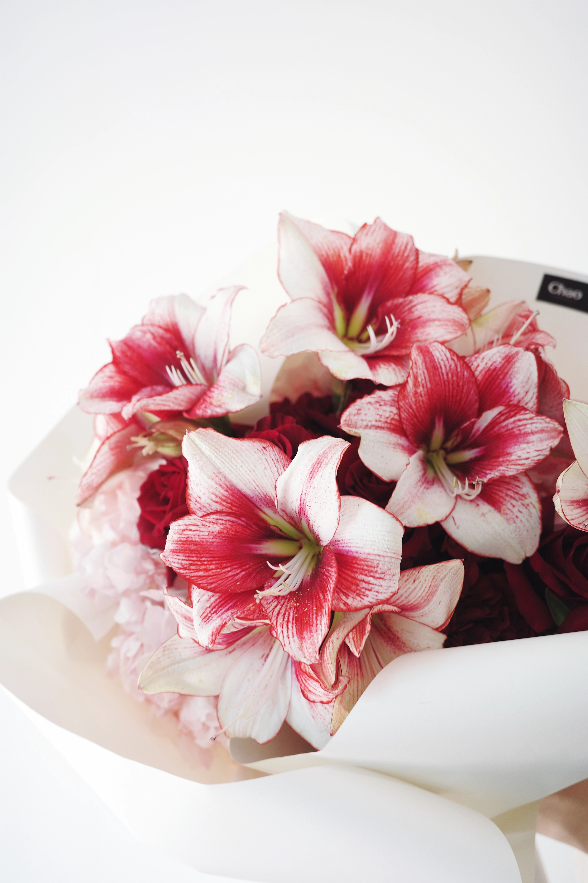 Floral Design Course S1 (7B)